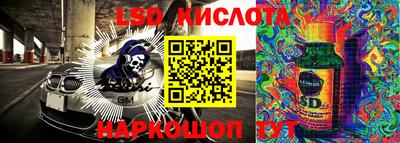 шишки Нарткала