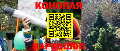 эйфоретик Нальчик