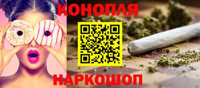шишки Нарткала
